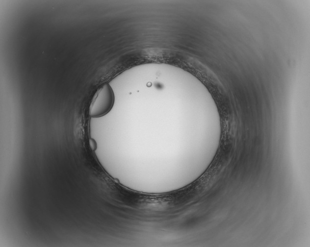 X0000101690702200807311412