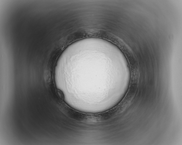 X0000101690703200807311412