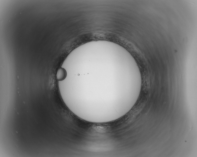 X0000101690706200807311412