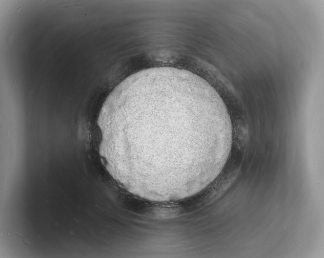 X0000101690707200807311412