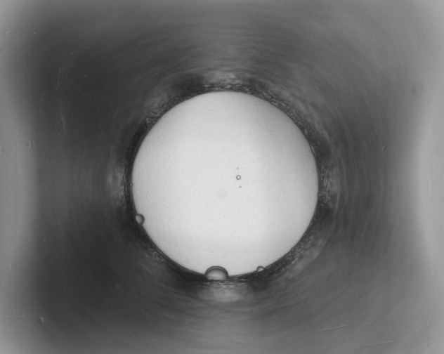 X0000101690708200807311412