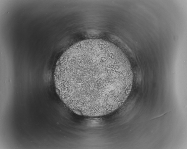 X0000101690711200807311412