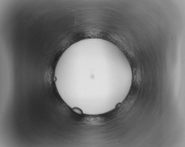 X0000101690712200807311412