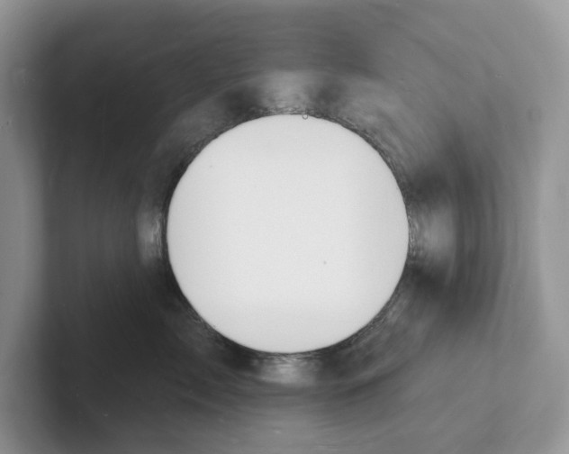 X0000101690717200807311412