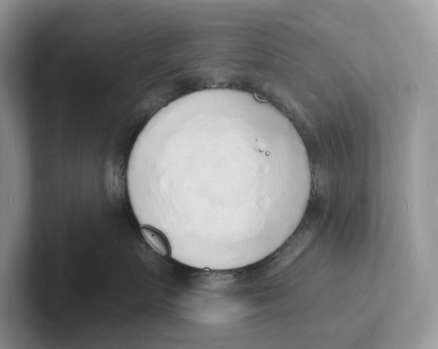 X0000101690719200807311412