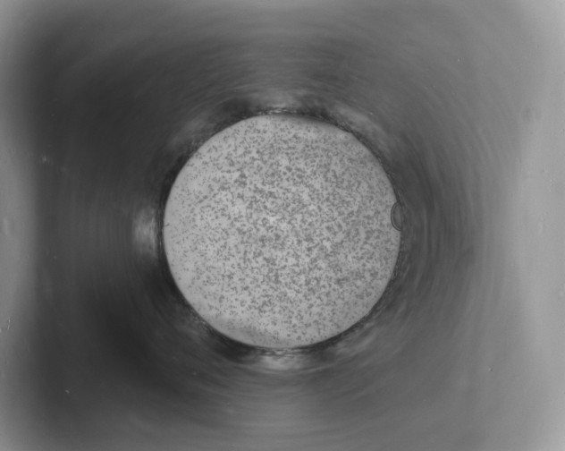 X0000101690720200807311412