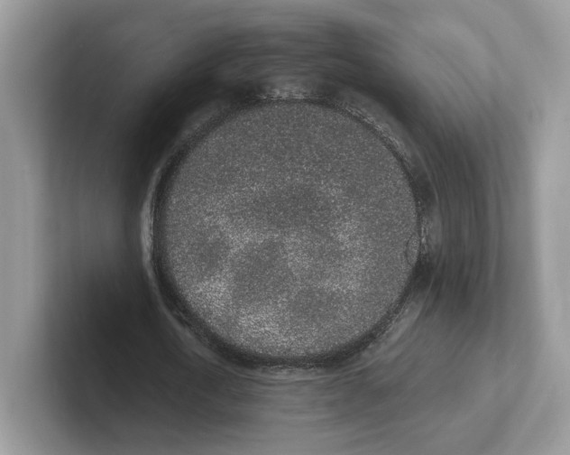 X0000101690722200807311411