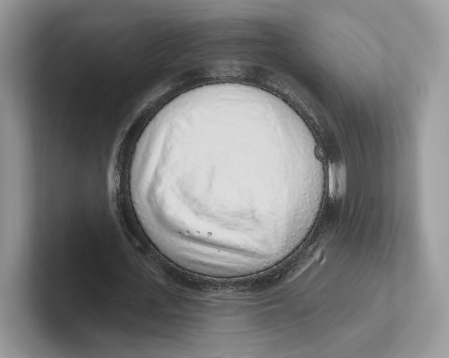 X0000101690723200807311411