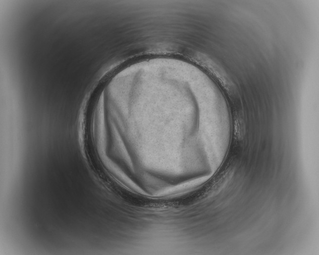 X0000101690724200807311411