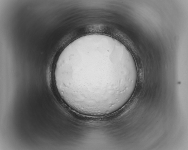 X0000101690725200807311411