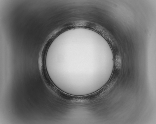 X0000101690726200807311411