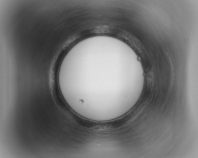 X0000101690727200807311411