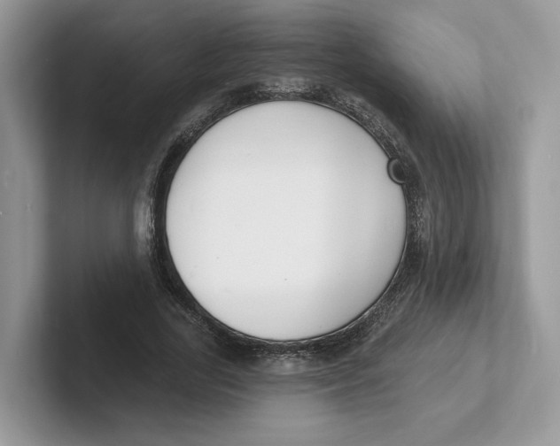 X0000101690731200807311411