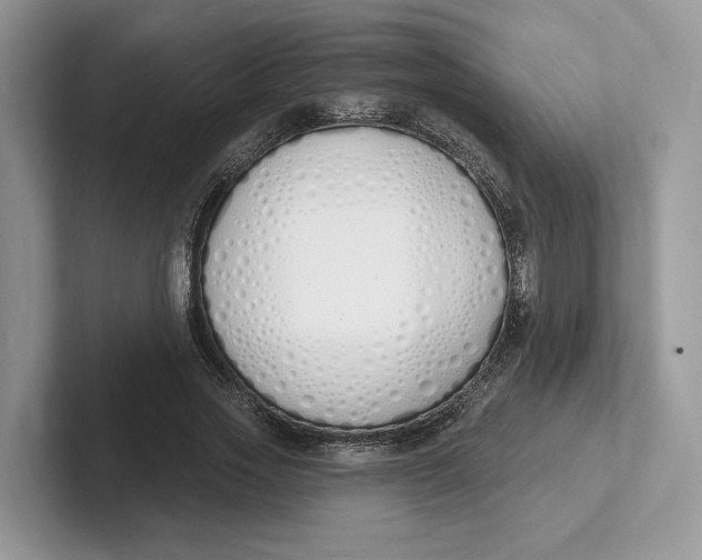 X0000101690733200807311411