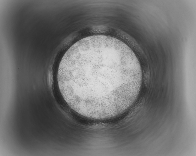 X0000101690734200807311411