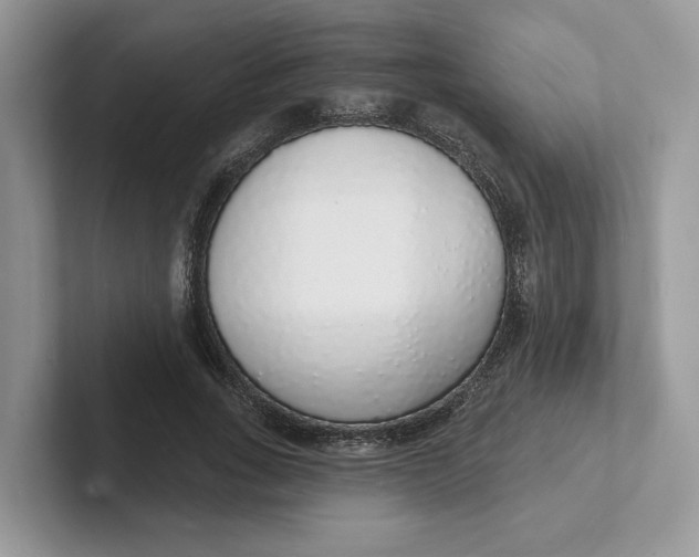 X0000101690735200807311411