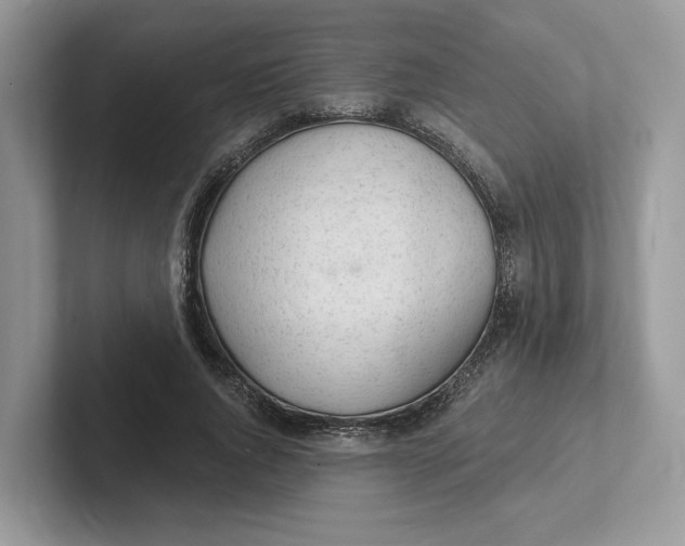 X0000101690736200807311411