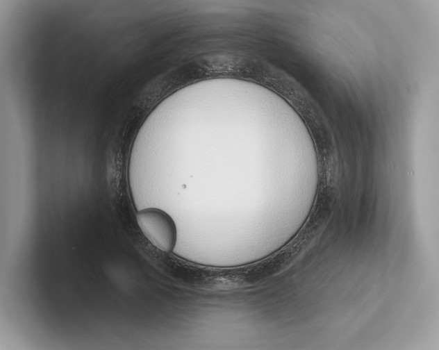 X0000101690737200807311411