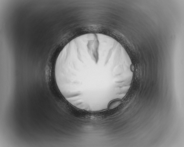 X0000101690739200807311411