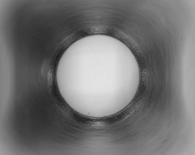 X0000101690741200807311411