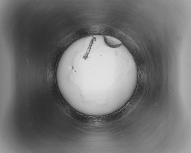 X0000101690745200807311411