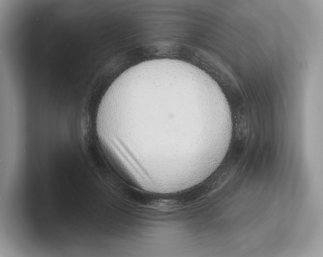 X0000101690748200807311411