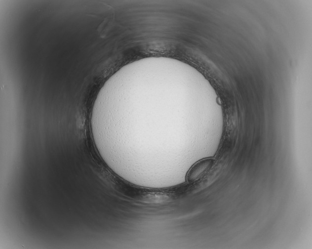 X0000101690749200807311411