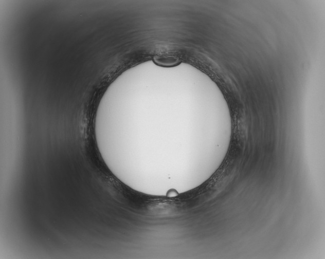 X0000101690750200807311411