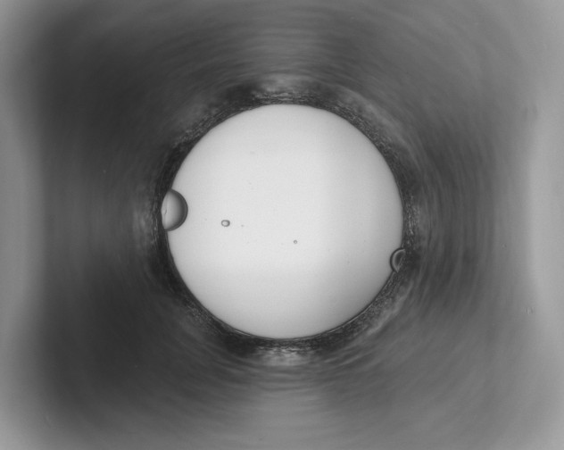 X0000101690751200807311411