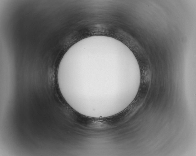 X0000101690753200807311411