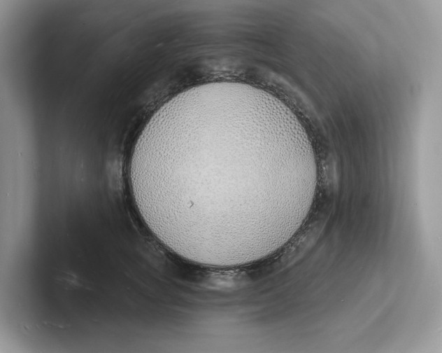 X0000101690757200807311412