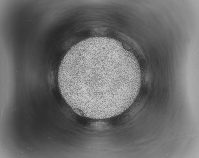 X0000101690759200807311412