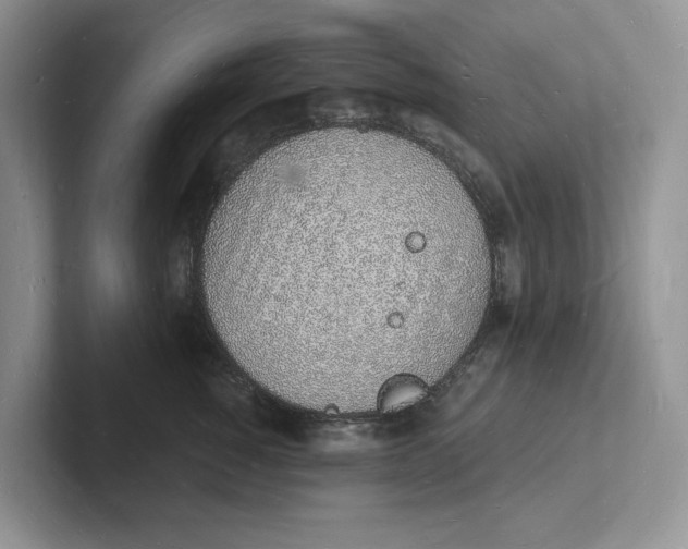 X0000101690760200807311412