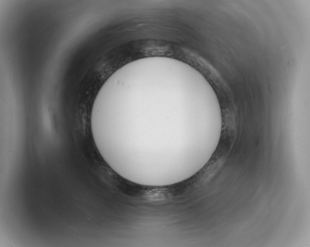 X0000101690761200807311412