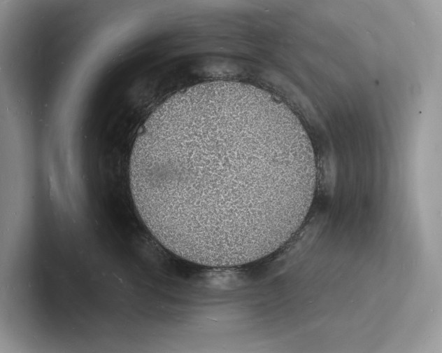 X0000101690762200807311412