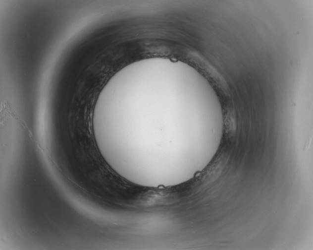 X0000101690764200807311412