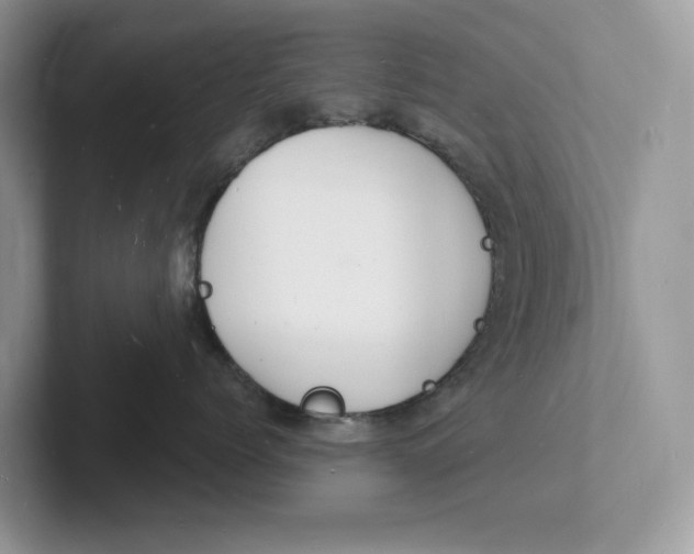 X0000101690768200807311412