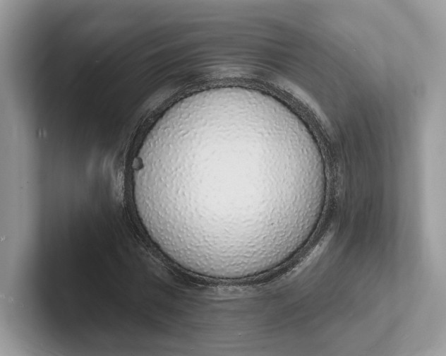 X0000101690777200807311411