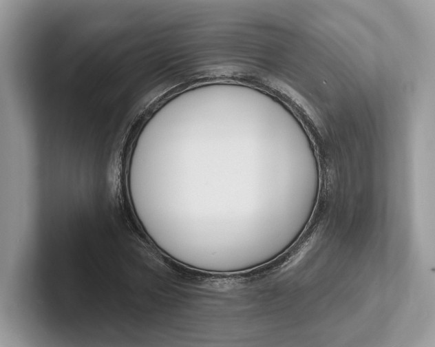 X0000101690778200807311411