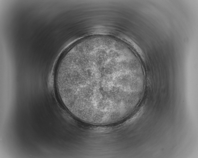 X0000101690779200807311411