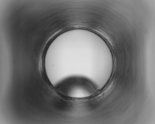 X0000101690782200807311411