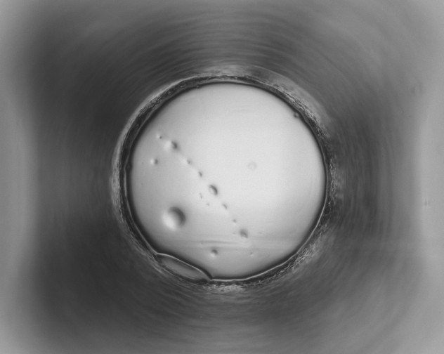 X0000101690784200807311411