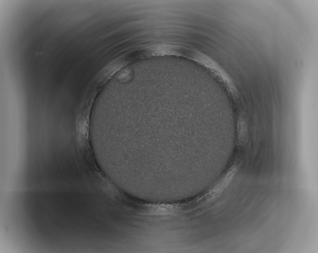 X0000101690785200807311411