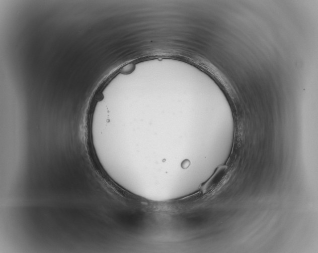 X0000101690787200807311411