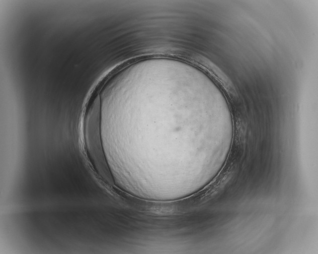 X0000101690788200807311411