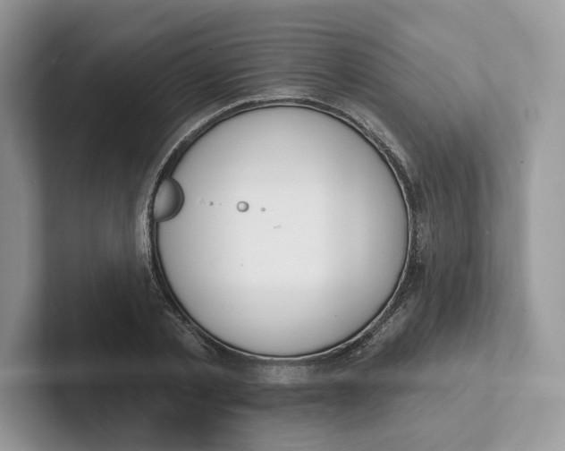 X0000101690789200807311411