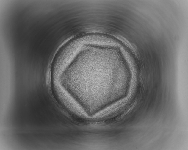 X0000101690790200807311411