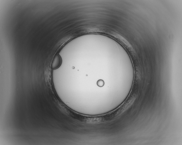 X0000101690793200807311411