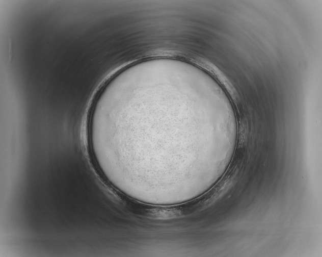 X0000101690795200807311411