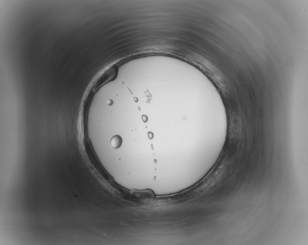 X0000101690796200807311411